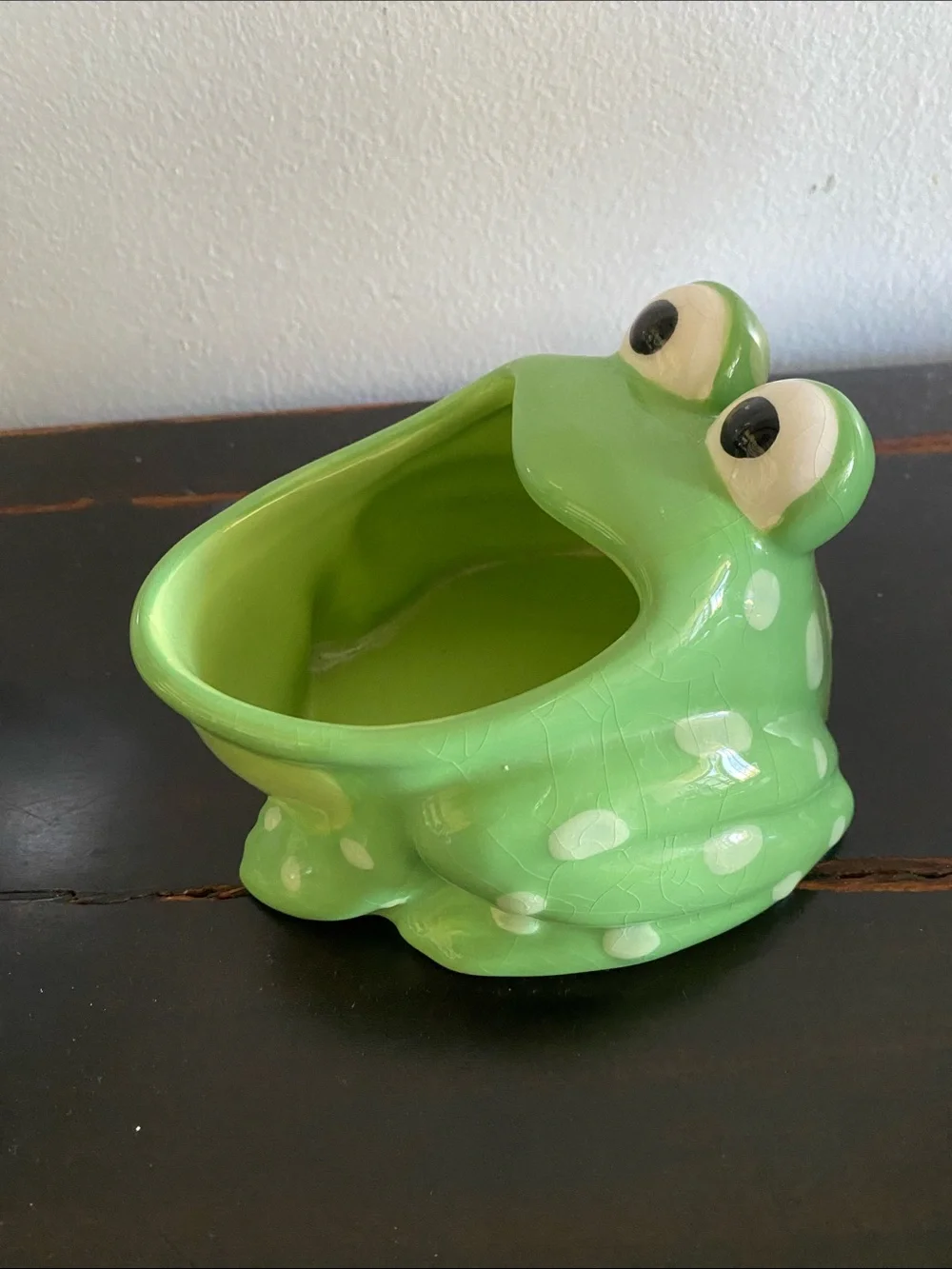 Fun Frog planter pot Ceramic